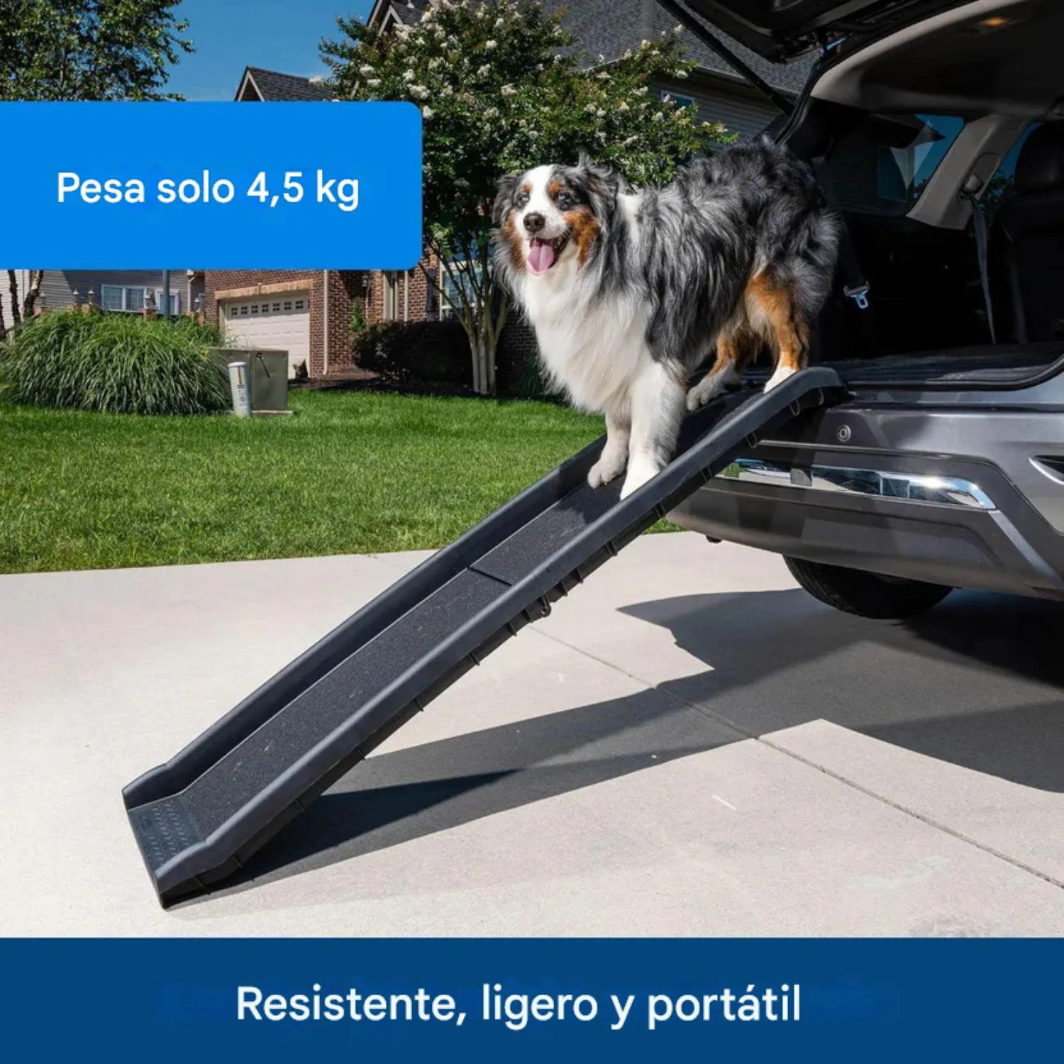 Rampa Plegable PetSafe Happy Ride para Perros con Superficie Antideslizante 5