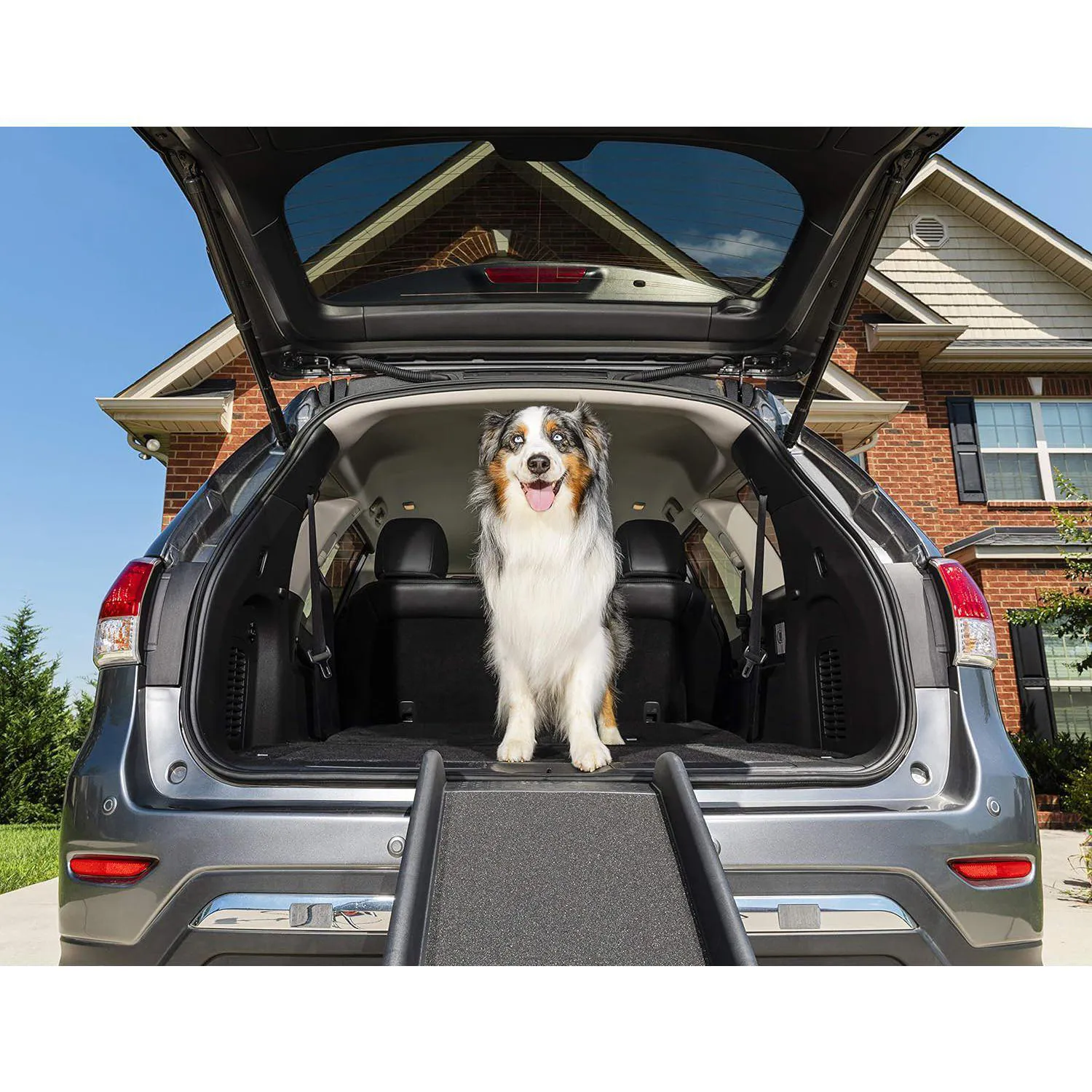 Rampa Plegable PetSafe Happy Ride para Perros con Superficie Antideslizante 7