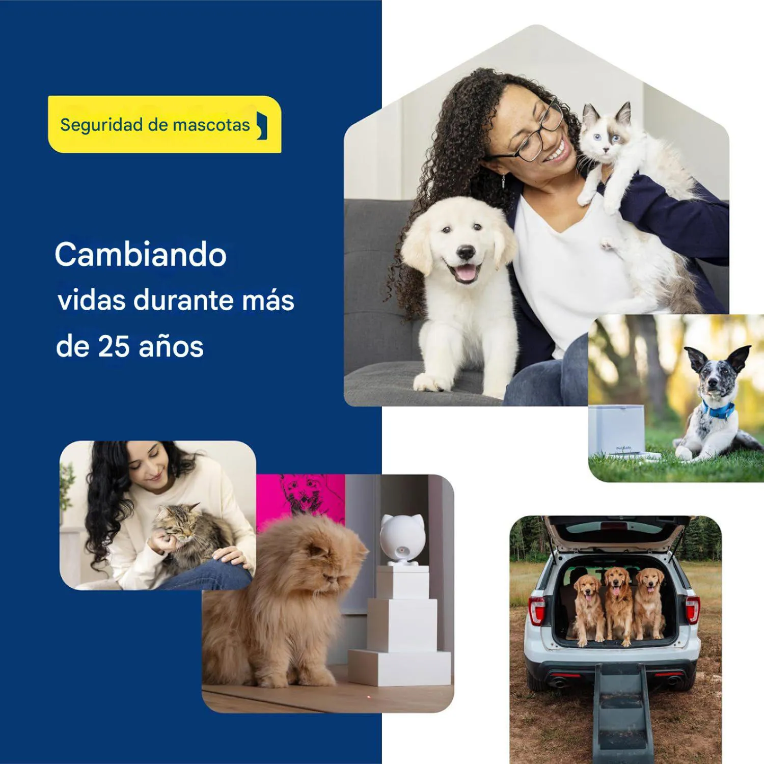 Kit de Mascotas de Instalación de Puertas