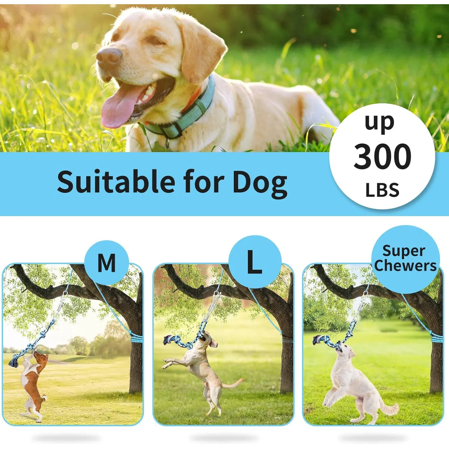 Juguete de Poste de Resorte para Perro 7