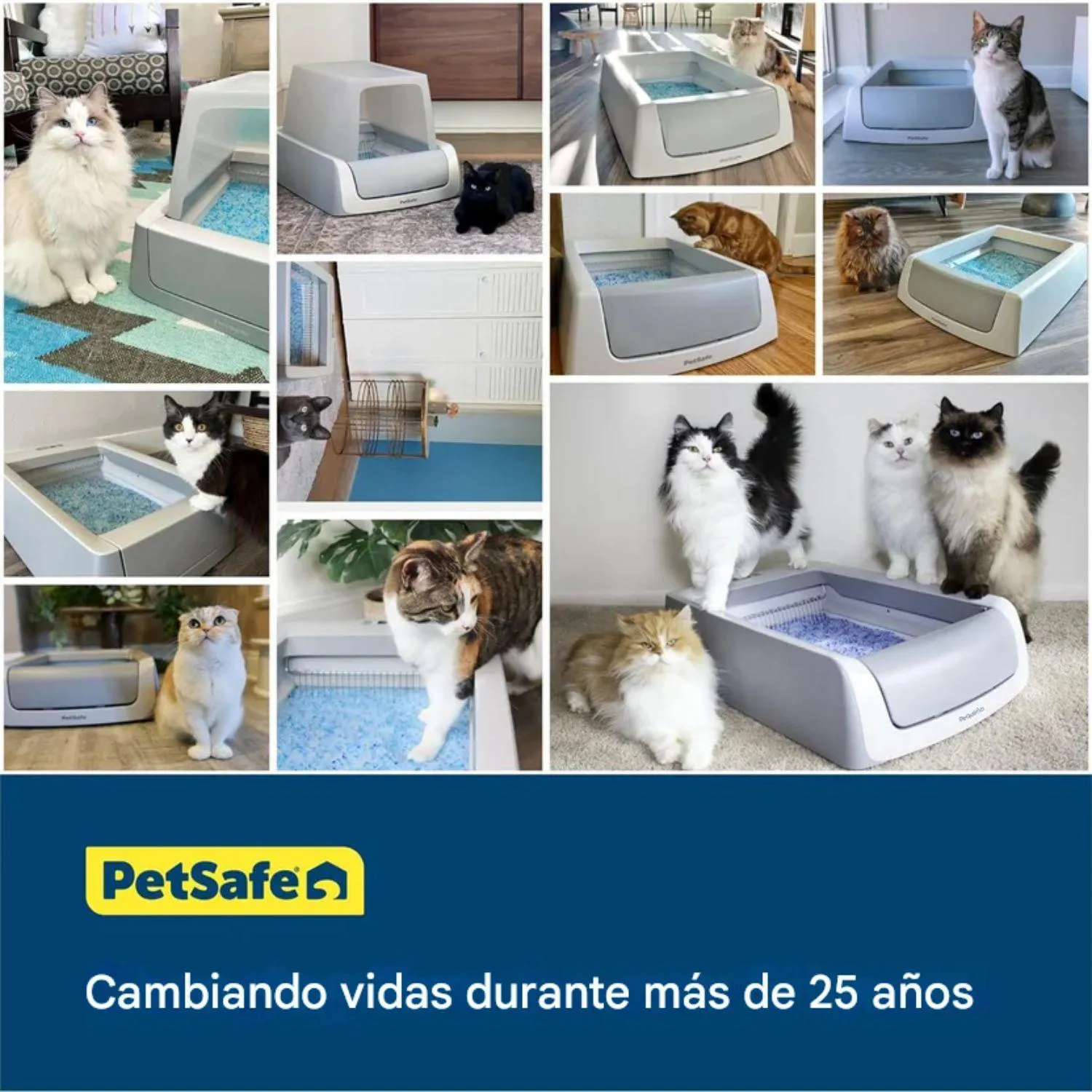 Arenero Automático para Gatos PetSafe Scoopfree Crystal Smart Con App Y Sensor 5