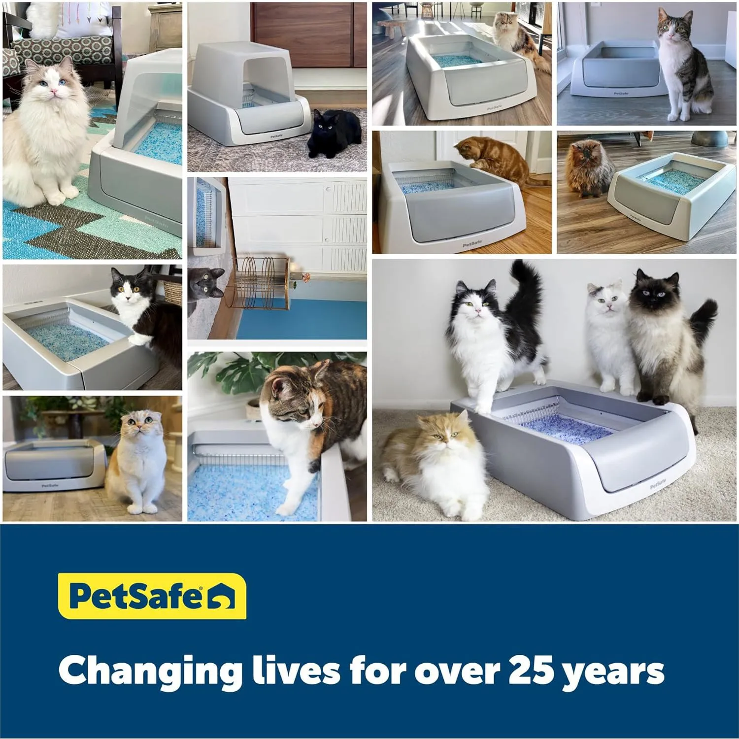 Arenero Automático para Gatos PetSafe Scoopfree Crystal Smart Con App Y Sensor 11