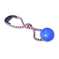 Pelota Para Perro Maciza Grande Lazo