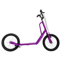 Monopatin Scooter Rin 16 Morada