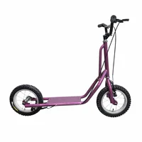 Monopatin Scooter Rin 12 Morada