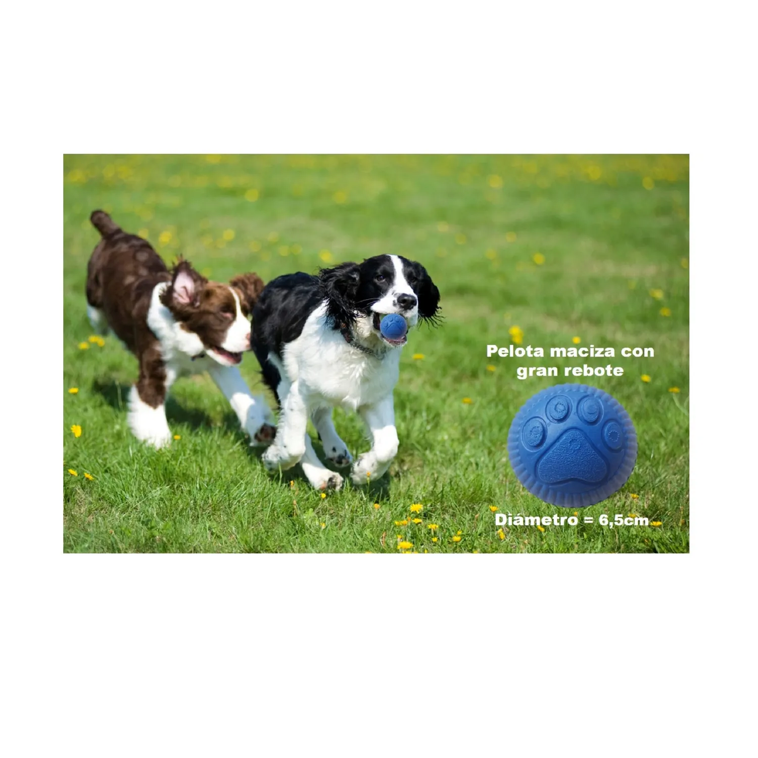 Pelota Para Perro Pequeña De Goma Azul