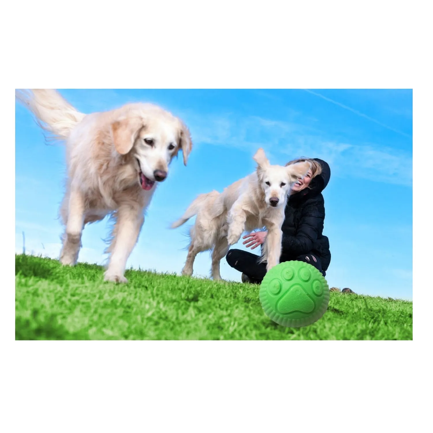 Pelota Para Perro Mediana De Goma - Verde Solepet