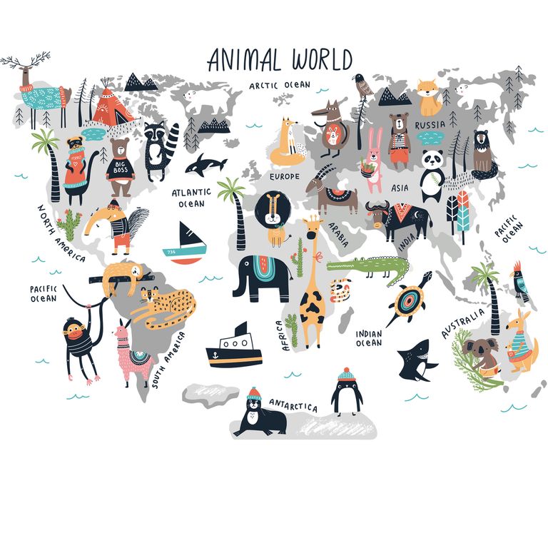 Vinilo Mapa Infantil Mundo De Animales VINILOVERS | Falabella Colombia
