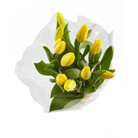 Tulipanes Amarillos x 10 Tallos El Paquete