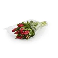 Tulipanes Rojos x 10 Tallos El Paquete
