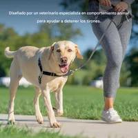 Arnés Para Perro De Paseo Fácil Petsafe