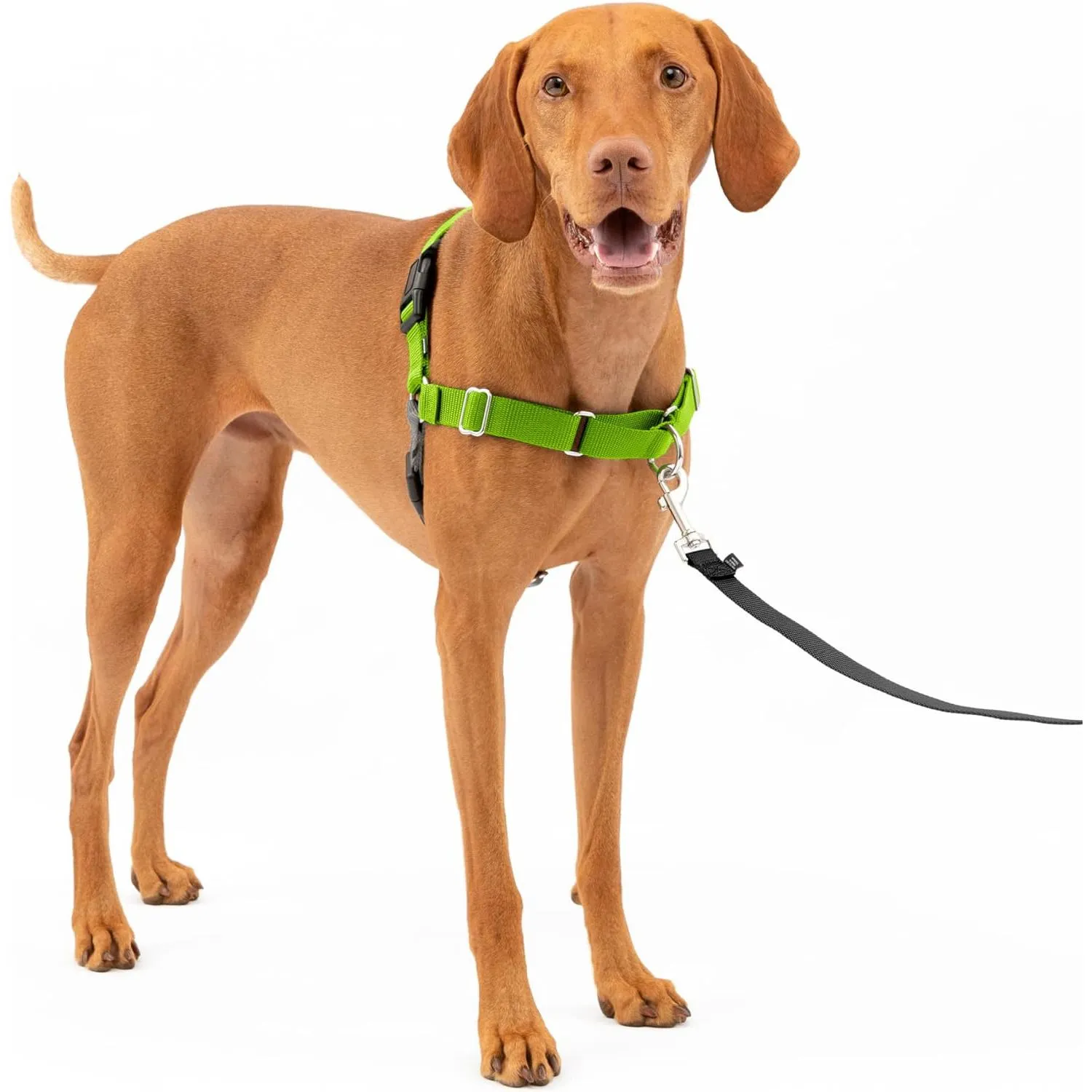 Arnés Para Perro De Paseo Fácil Petsafe 7