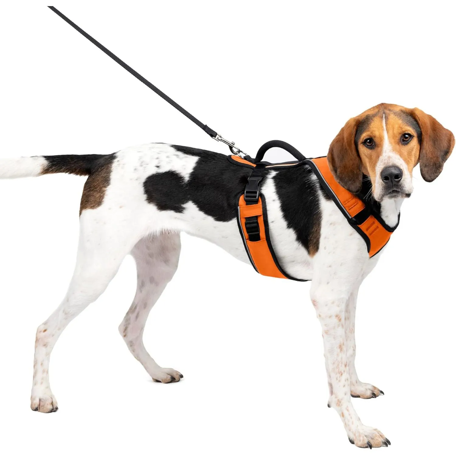 Arnés para Perros Nailon Acolchado Reflejante Talla L Marca PetSafe 6