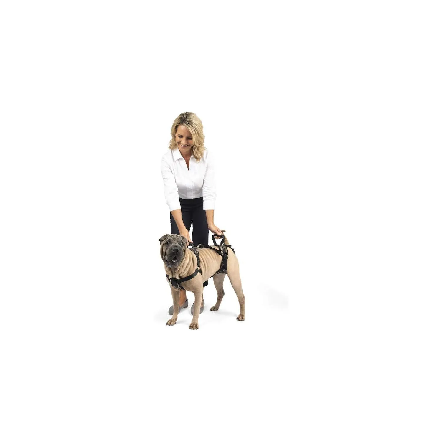 Arnés Para Perro Soporte de Elevación y Ayuda Petsafe 5