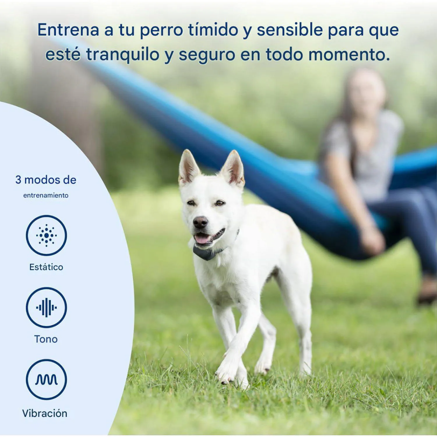 Collar Para Perro De Entrenamiento Remoto Petsafe