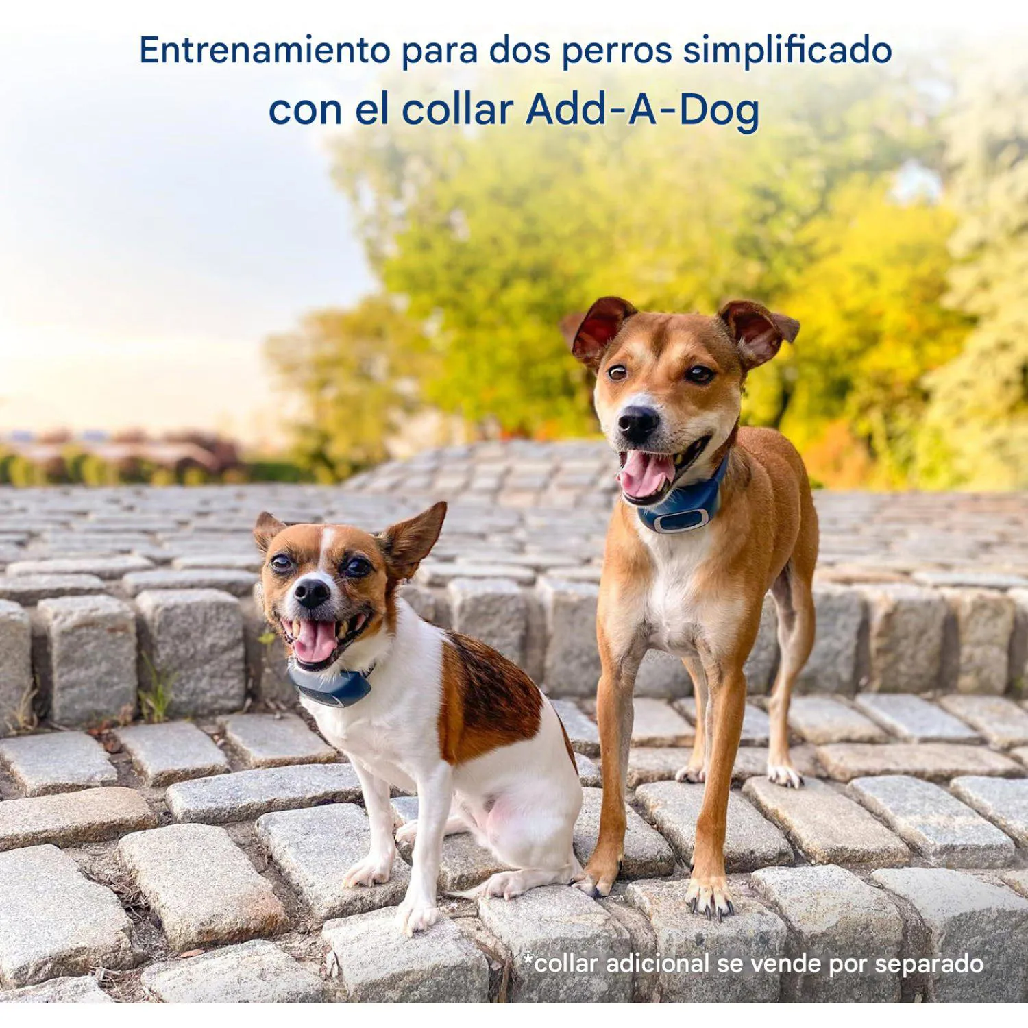 Collar Para Perro De Entrenamiento Remoto Petsafe 5
