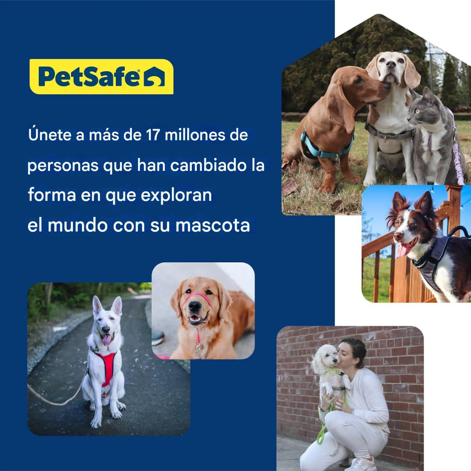 Collar Para Perro De Cabeza para Perro Sin Tirones Petsafe 5