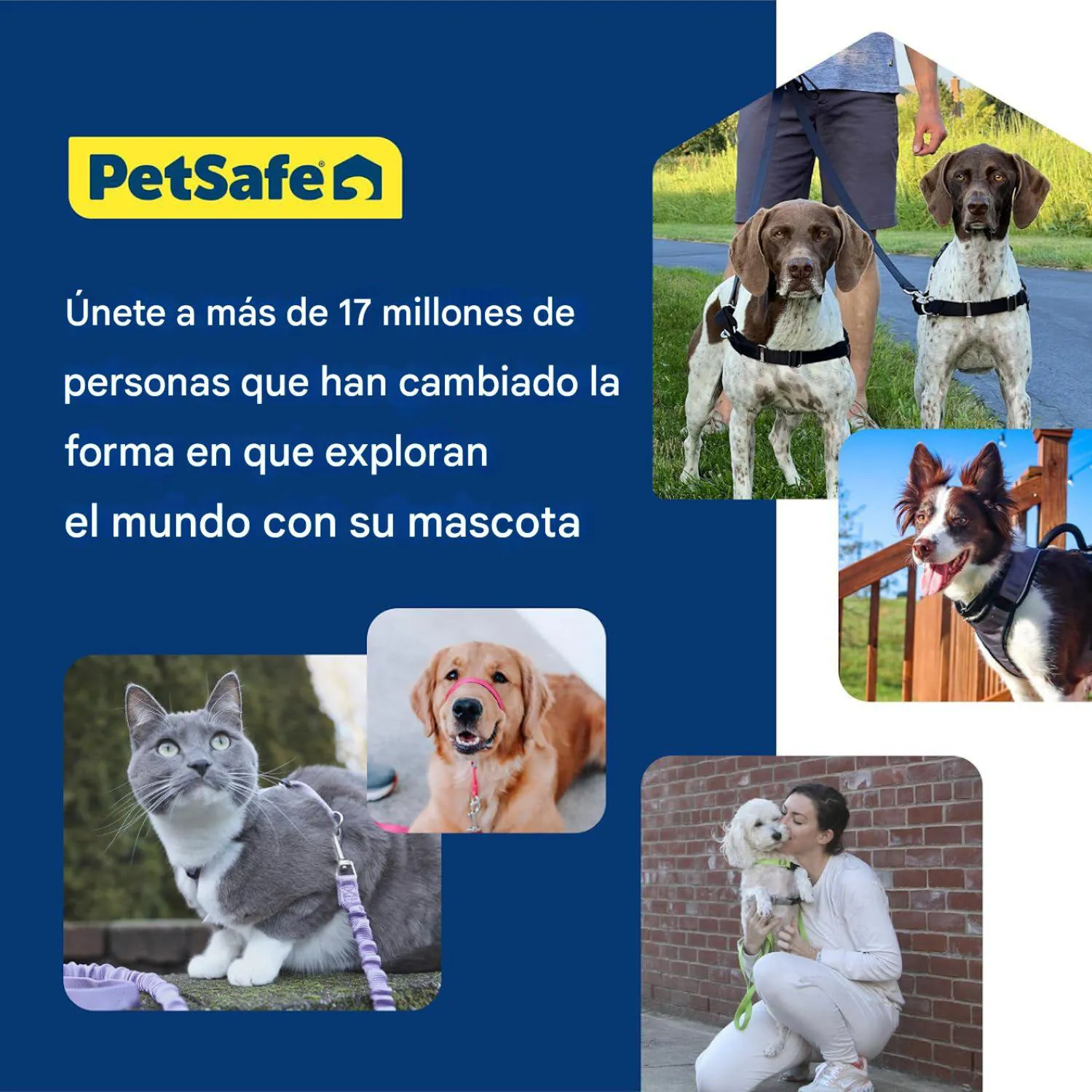 Arnés Para Perro De Paseo Fácil  L Verde Petsafe 5
