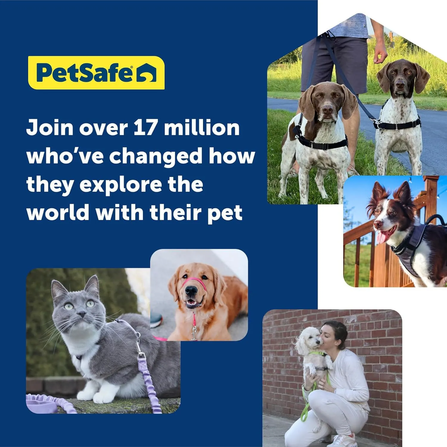 Arnés Para Perro Sin Tirones Toma El Control  Petsafe 11