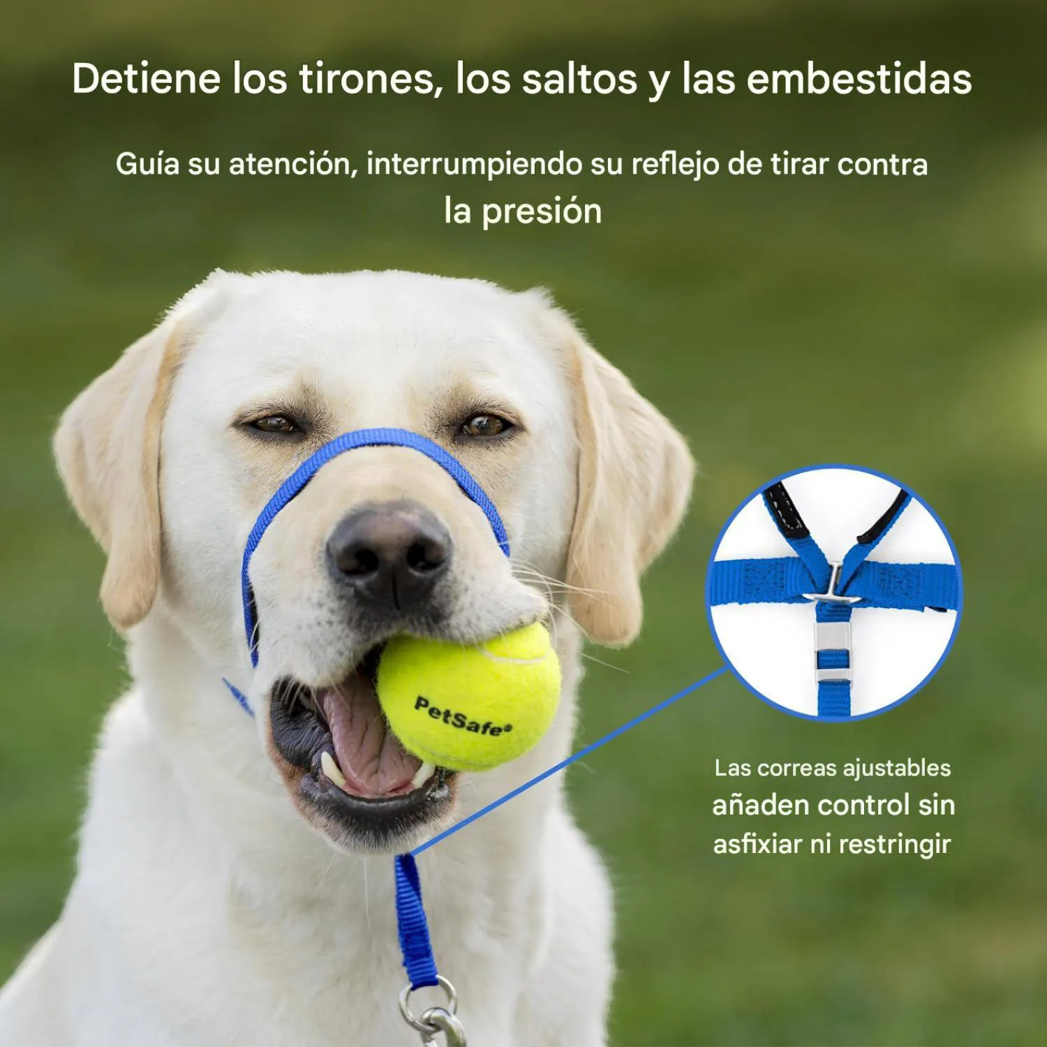 Collar para Perros de Suave Conducción En Nailon Talla Grande Marca PetSafe