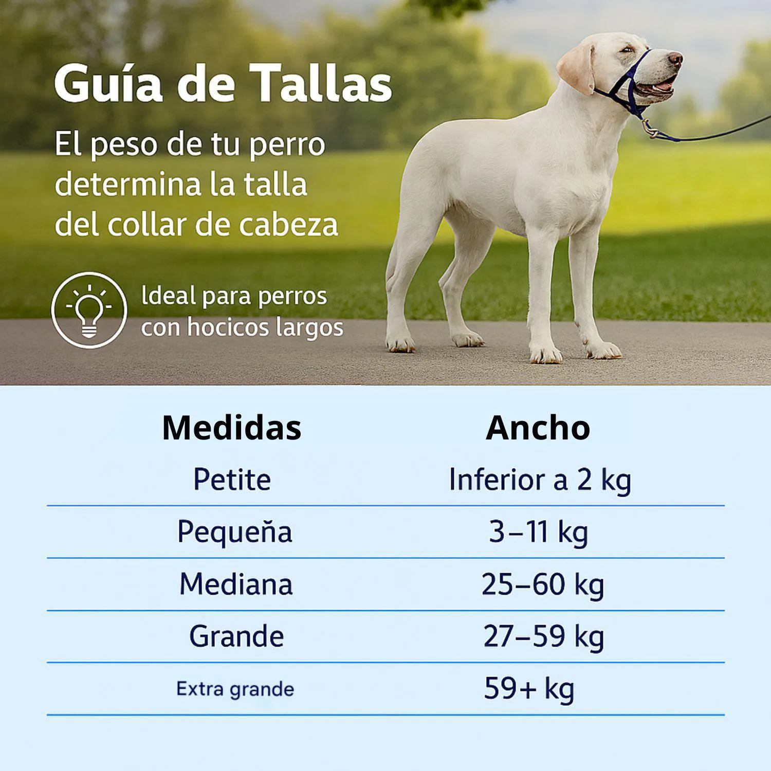 Collar para Perros de Suave Conducción En Nailon Talla Grande Marca PetSafe 4