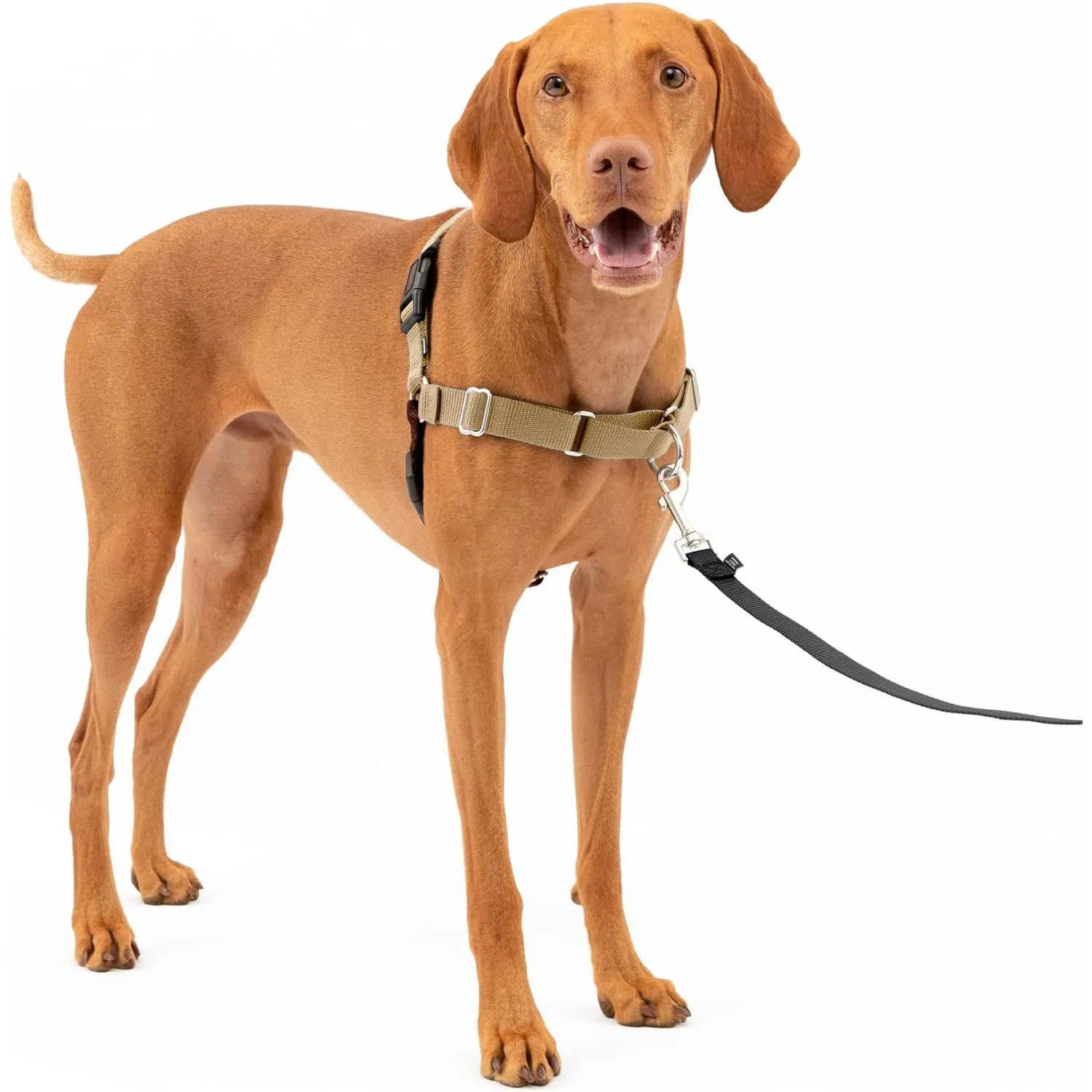 Arnés Para Perro De Paseo Fácil  Talla m Azul Petsafe