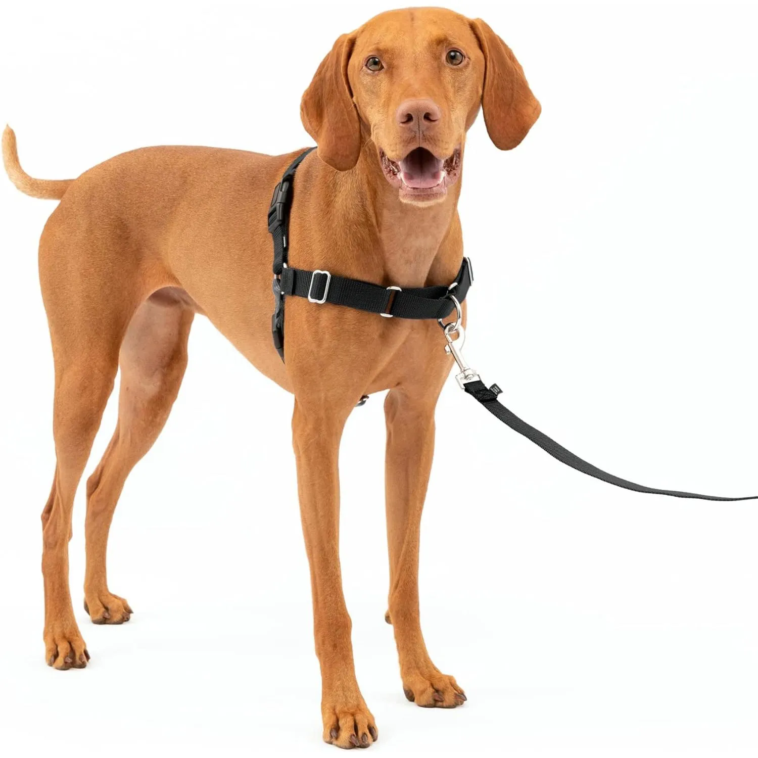 Arnés Para Perro Deja de Tirar y Enseña Petsafe