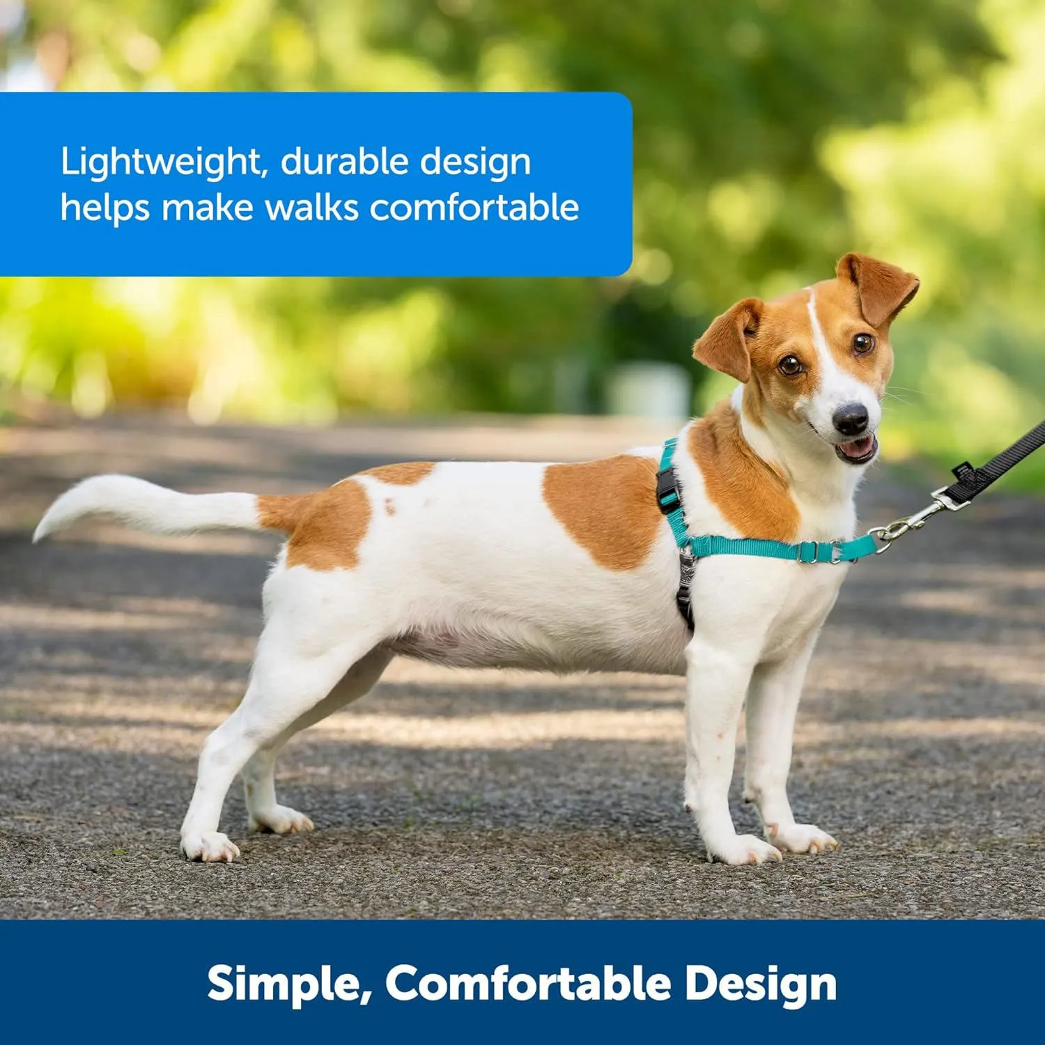 Arnés Para Perro Deja de Tirar y Enseña Petsafe 4