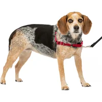 Arnés Para Perro De Paseo Fácil  S/ m Rojo/negro Petsafe