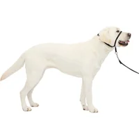Collar Para Perro Suave de Conducción Con DVD