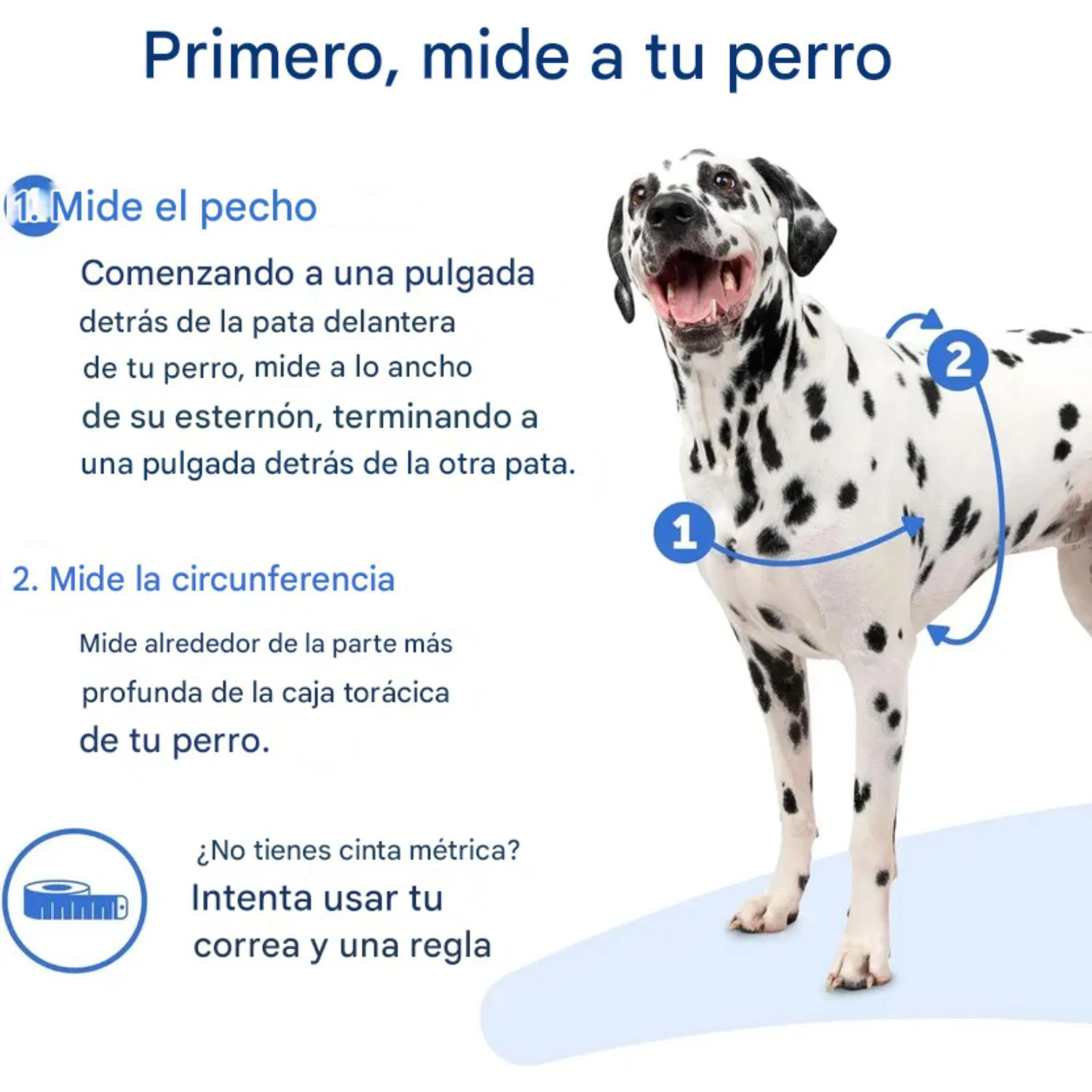 Arnés para Perro Sin Tirones PetSafe Easy Walk Con Diseño de Pecho Cómodo 3