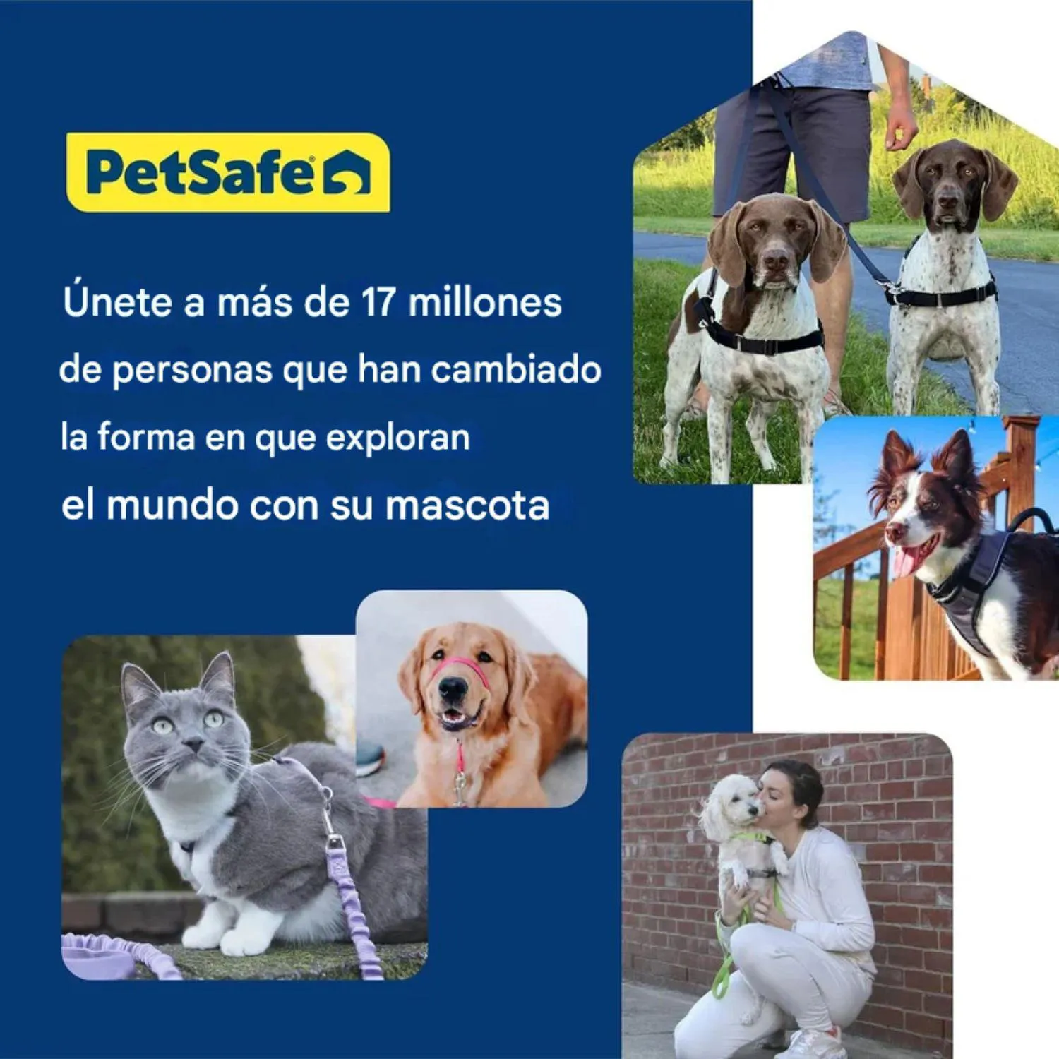 Arnés para Perro Sin Tirones PetSafe Easy Walk Con Diseño de Pecho Cómodo 5