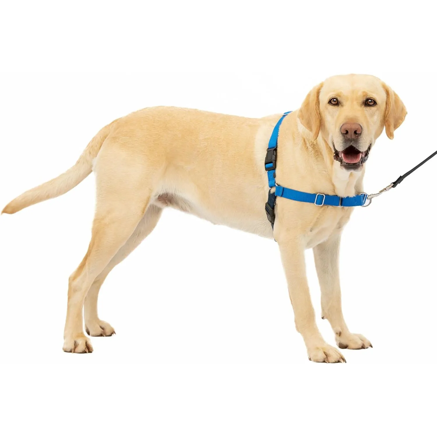 Arnés para Perro Sin Tirones PetSafe Easy Walk Con Diseño de Pecho Cómodo 6
