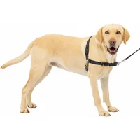 Arnés Para Perro De Paseo Fácil  L Negro/plateado Petsafe