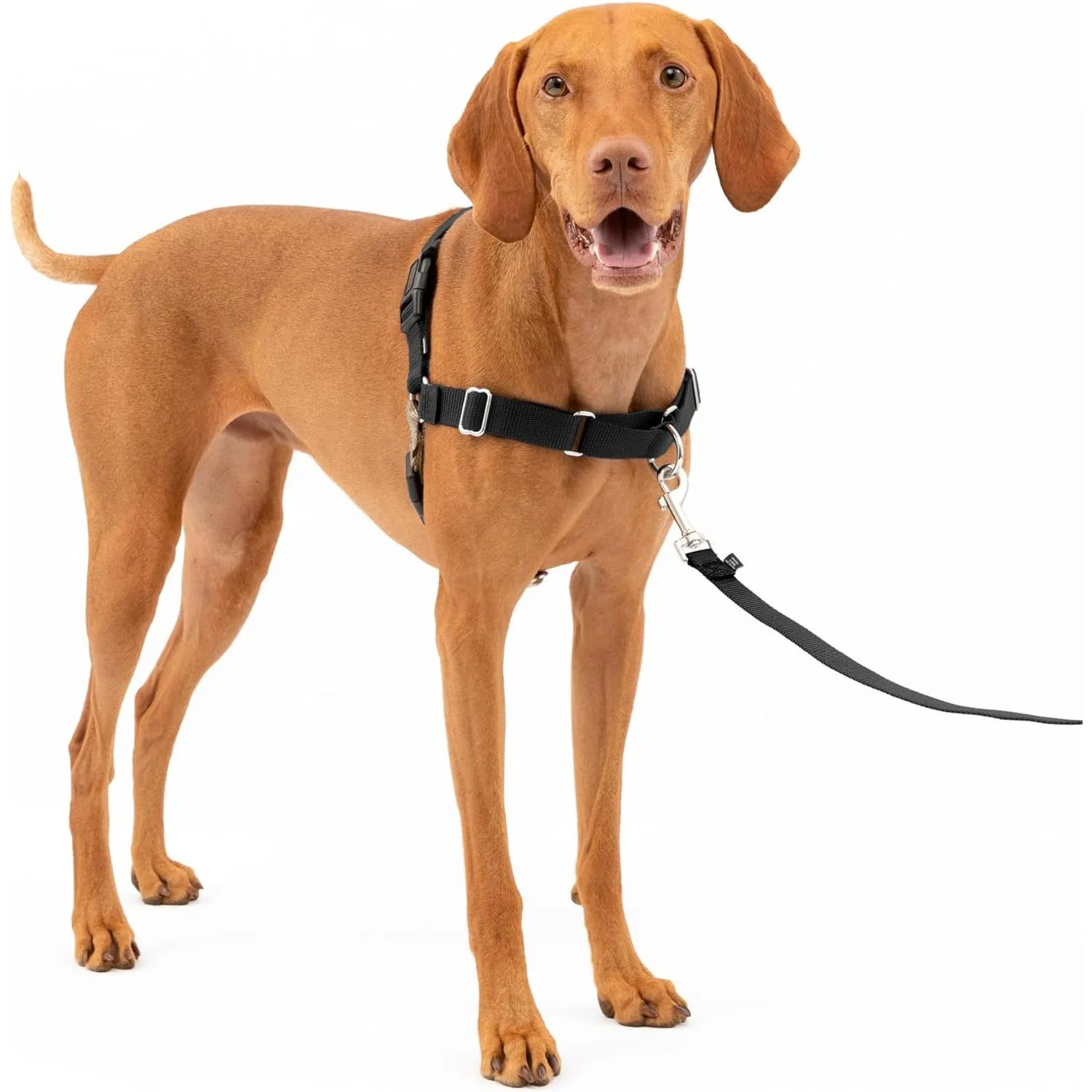Arnés Para Perro De Paseo Fácil  M Negro/plateado Petsafe
