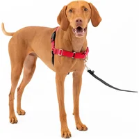 Arnés Para Perro De Paseo Fácil  M Rojo/negro Petsafe