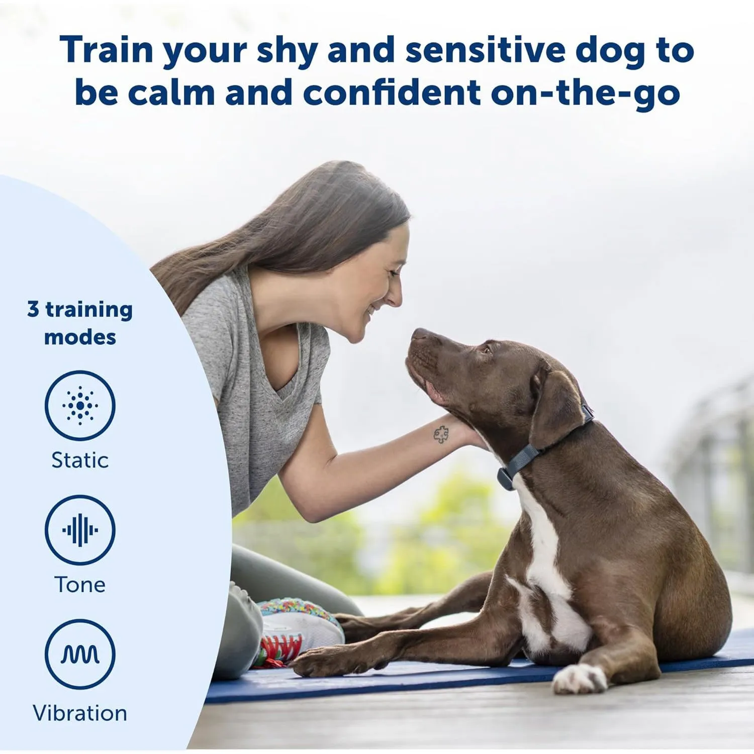 Collar Para Perro De Entrenamiento Remoto Petsafe