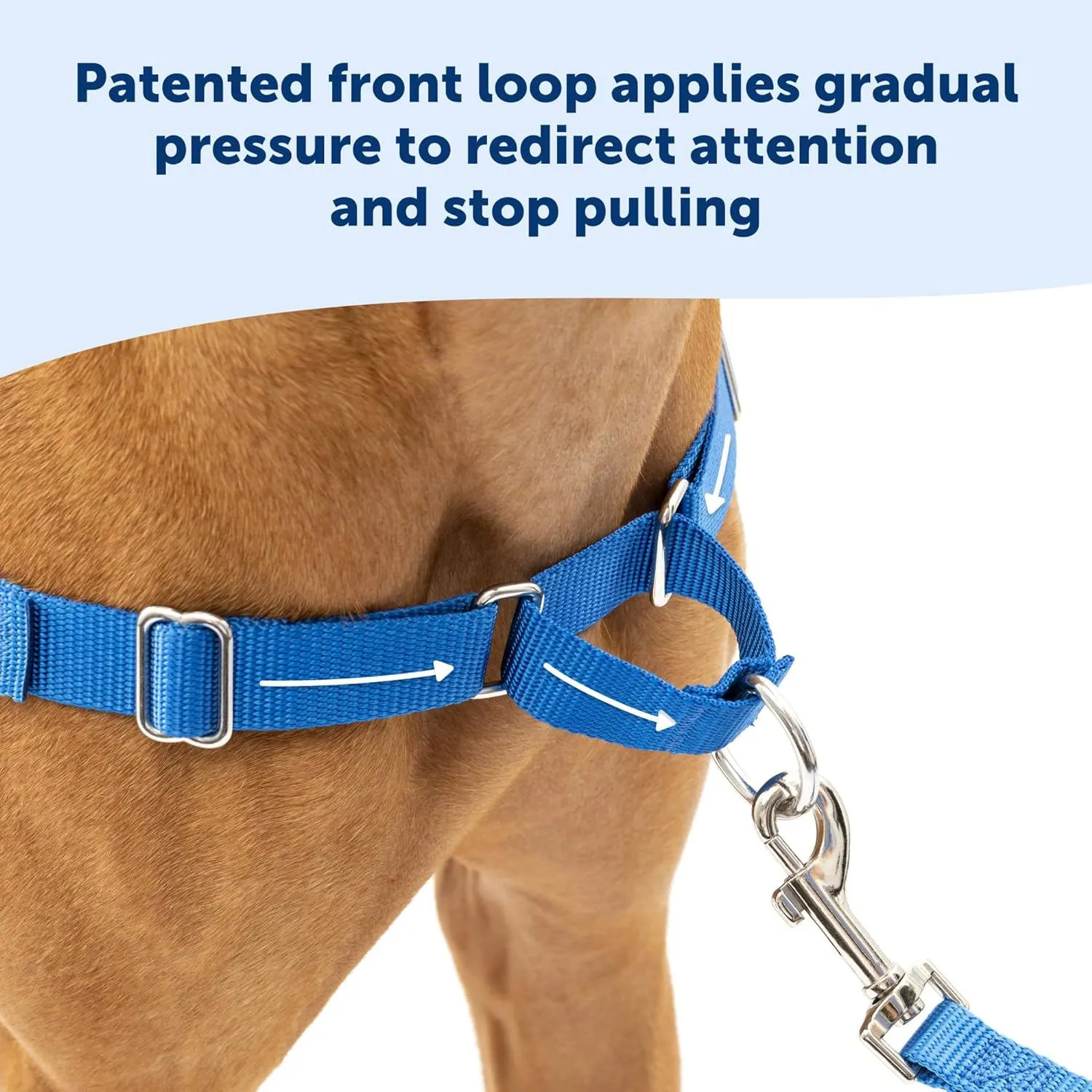Arnés Para Perro De Paseo Fácil  Talla L Petsafe 3