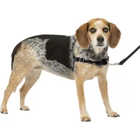Arnés Para Perro Sin Tirones Petsafe