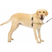Arnés Para Perro De Paseo Fácil  L Beige Petsafe
