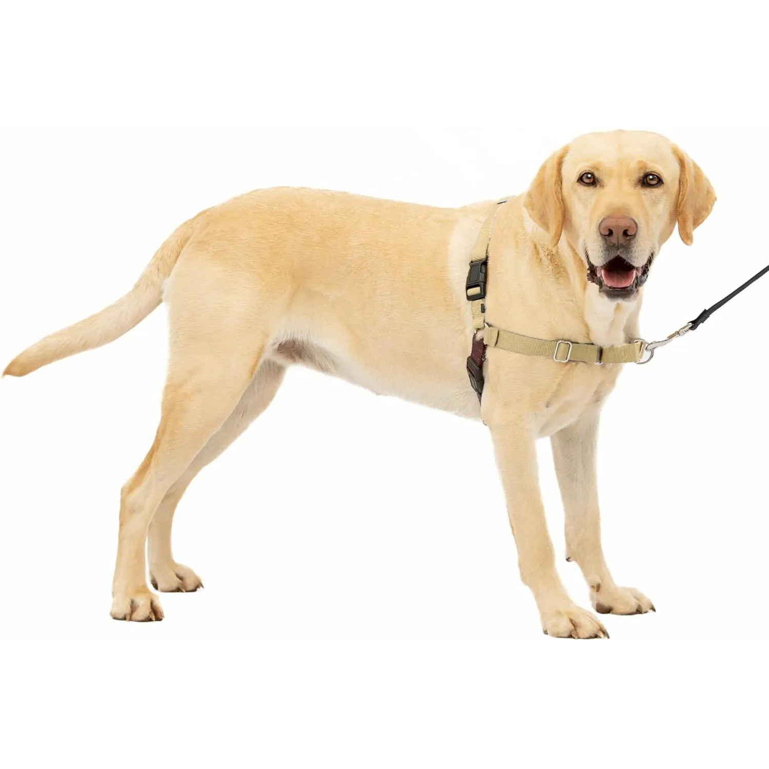 Arnés Para Perro De Paseo Fácil  L Beige Petsafe