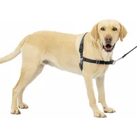Arnes Para Perro Sin Tirones Para Ayudar  Petsafe