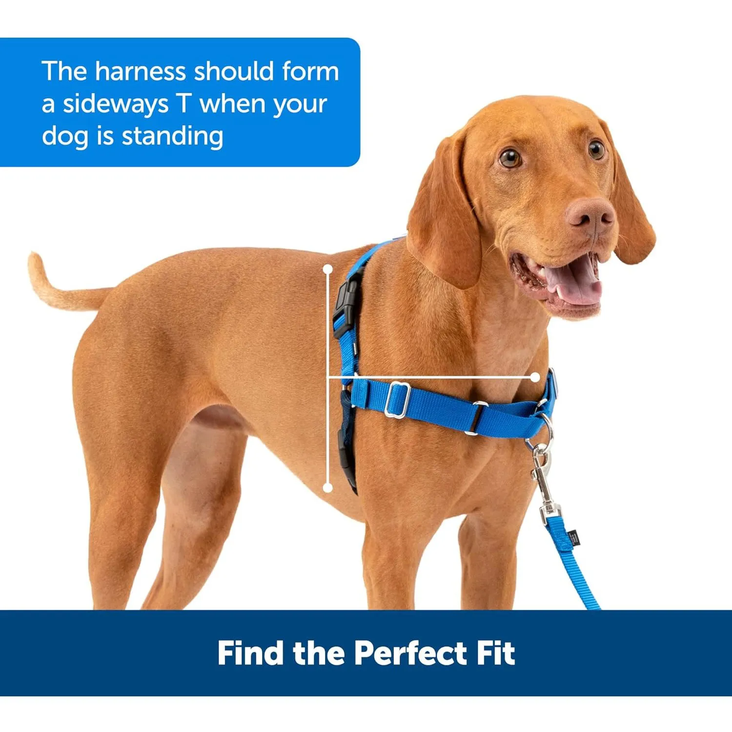 Arnes Para Perro Sin Tirones Para Ayudar  Petsafe 5