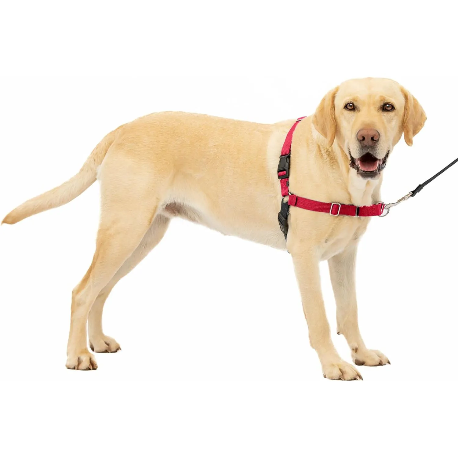 Arnés Para Perro De Paseo Fácil  L Rojo/negro Petsafe