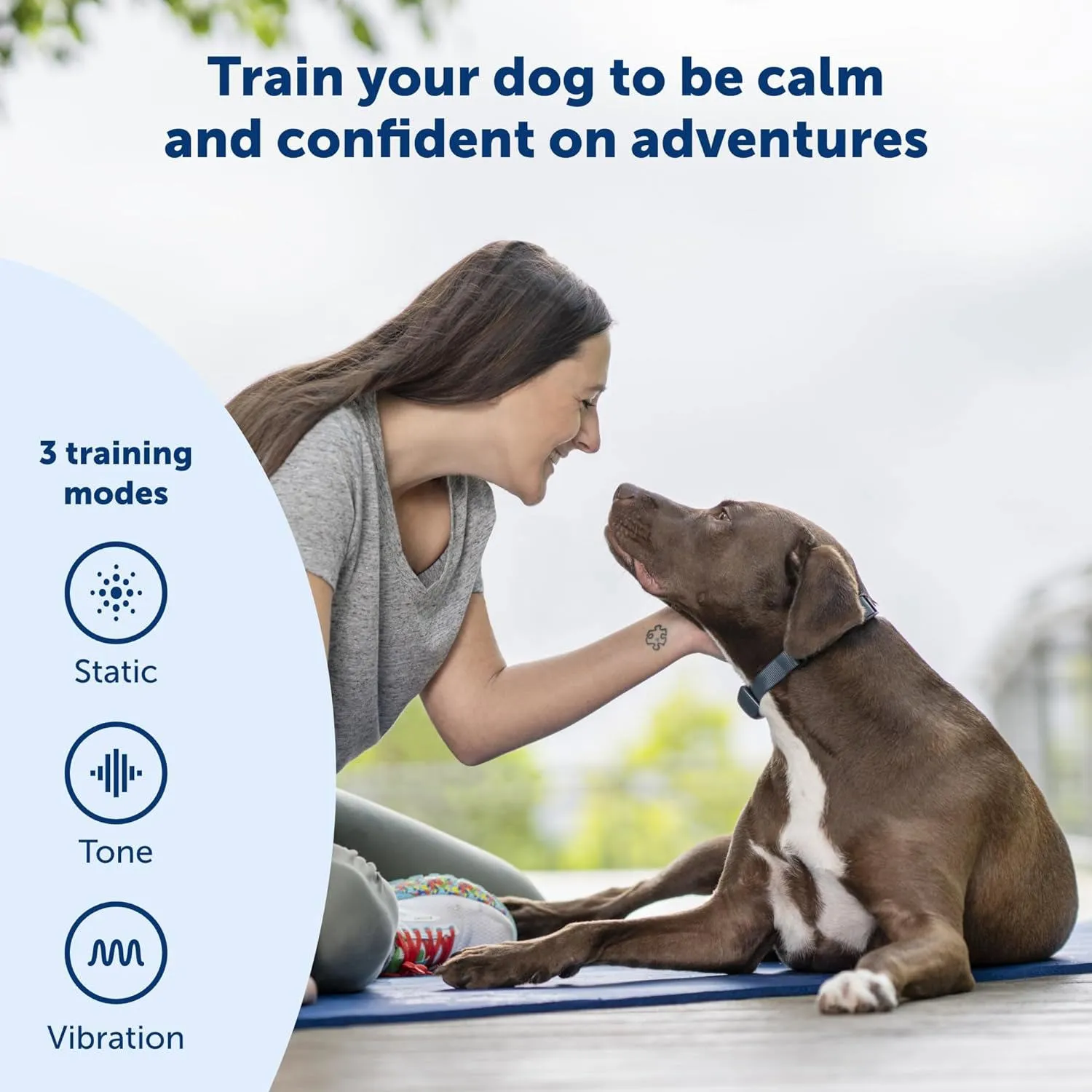 Collar de Entrenamiento Petsafe 3