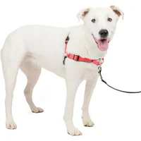 Arnés Para Perro De Adiestramiento Anti Tirones Petsafe