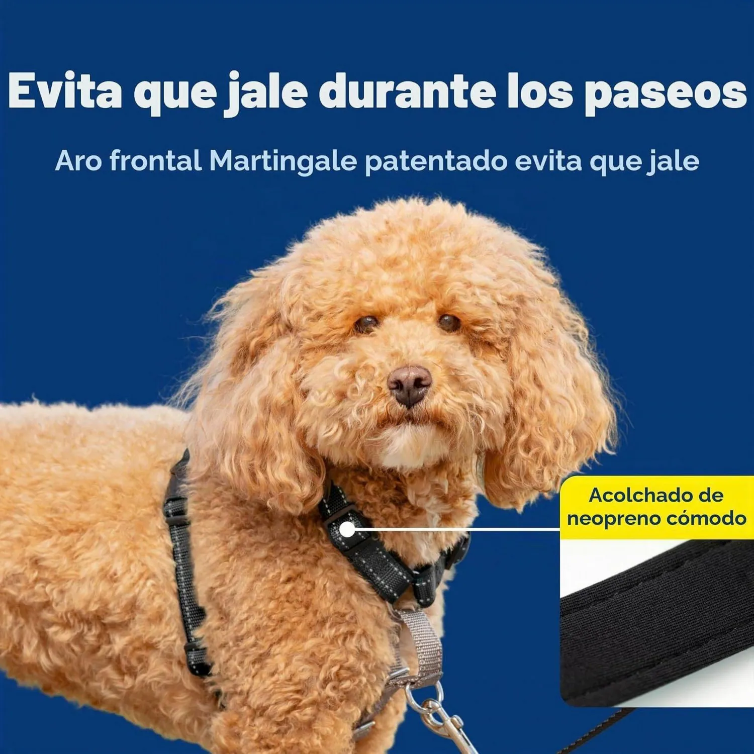Arnés Para Perro 3 En 1 Petsafe