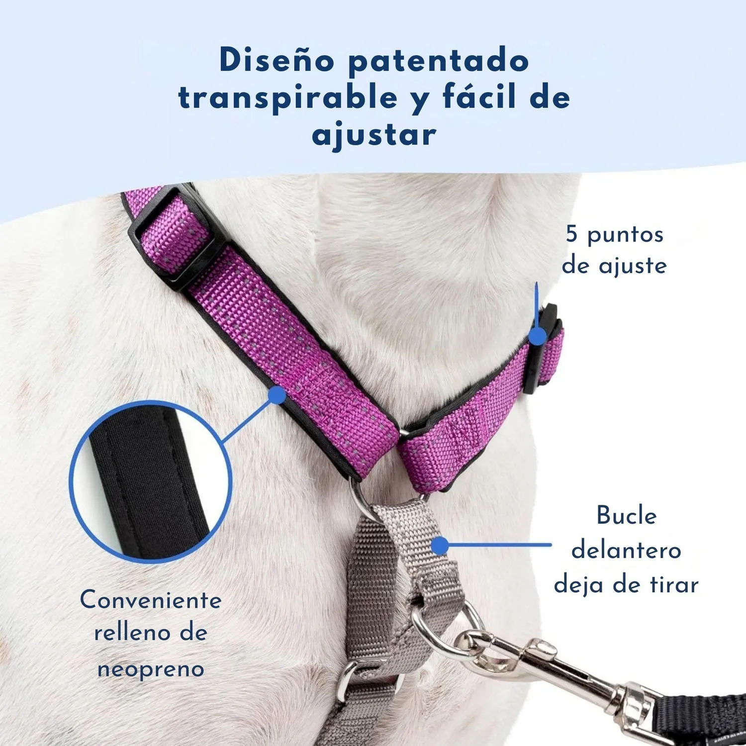 Arnés Para Perro 3 En 1 Petsafe 3