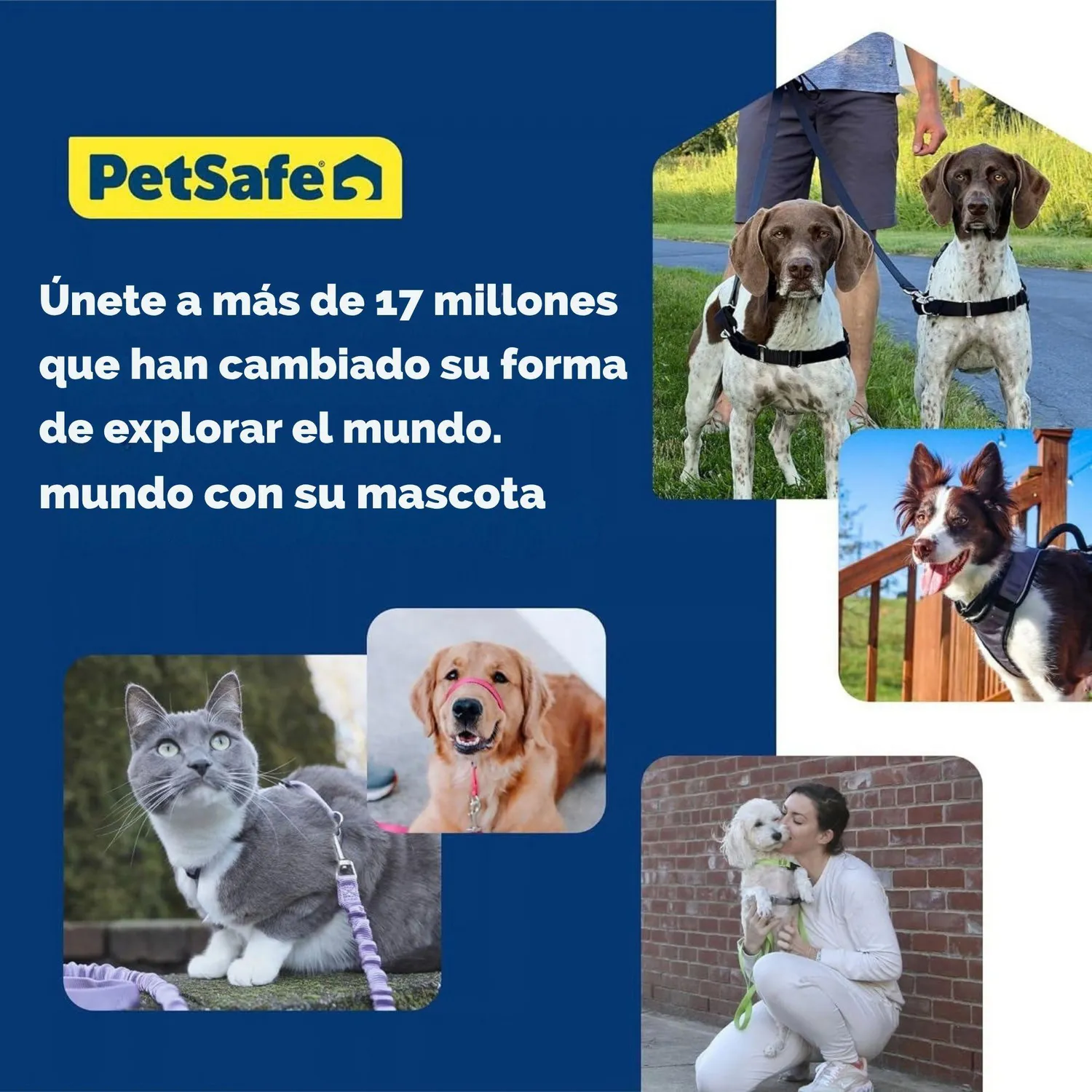 Arnés Para Perro 3 En 1 Petsafe 5