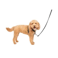 Arnés Para Perro 3 En 1 Petsafe